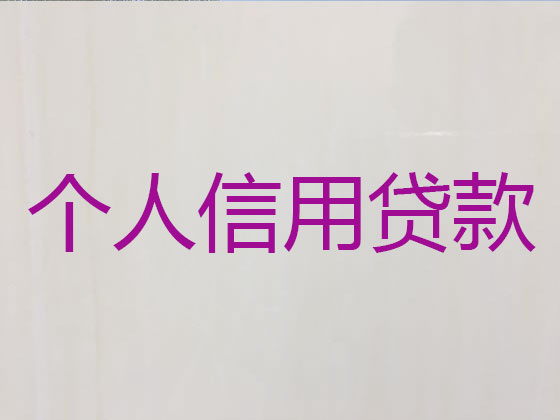 宿迁抵押贷款公司-银行信用贷款